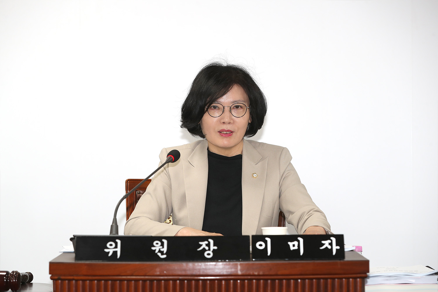 제334회 정례회 제4차 행정문화위원회(새창)